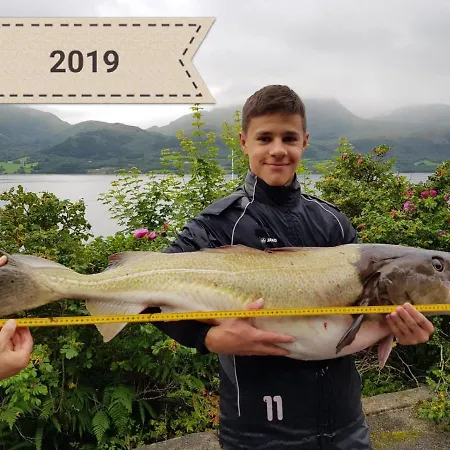 Kvernesfjorden Steinsgrenda