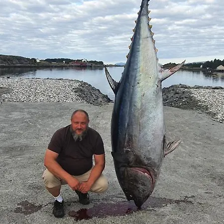 Prázdninový dům Kvernesfjorden