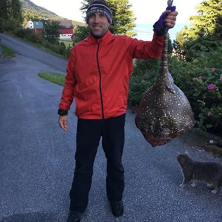 Prázdninový dům Kvernesfjorden