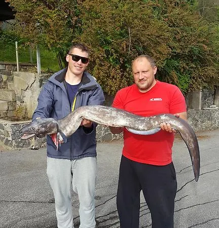 Kvernesfjorden Prázdninový dům *