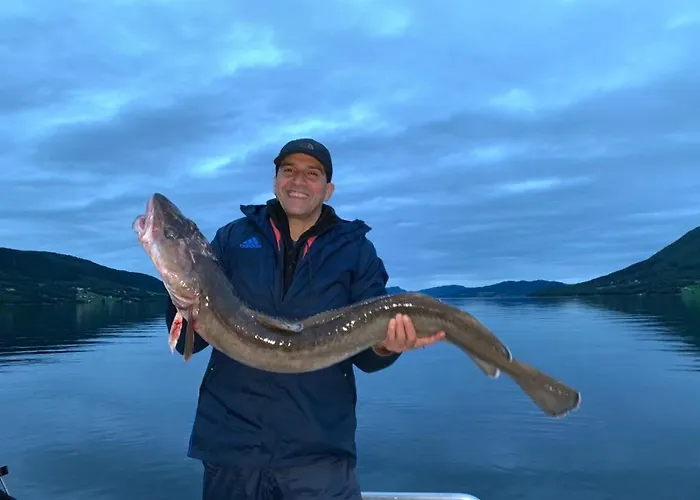 Kvernesfjorden Casa vacanze