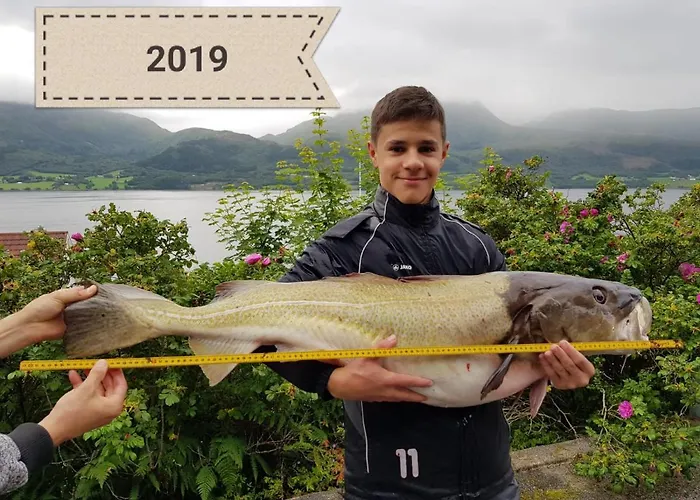 Kvernesfjorden Steinsgrenda