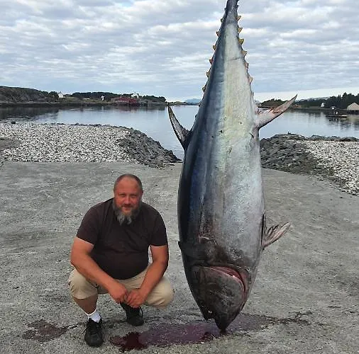 Casa vacanze Kvernesfjorden