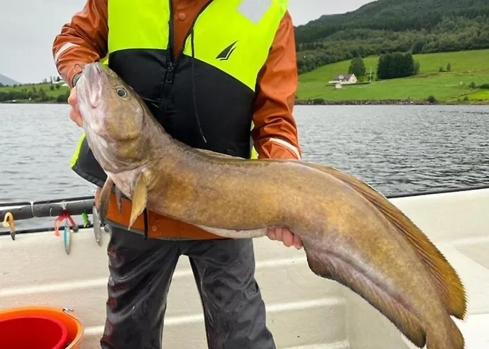 Kvernesfjorden Casa de Férias *