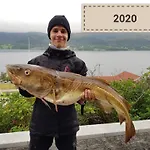 בית נופש Kvernesfjorden