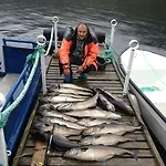 Kvernesfjorden בית נופש