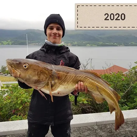 Дом отдыха Kvernesfjorden