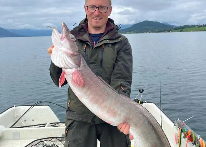 Dom wakacyjny Kvernesfjorden