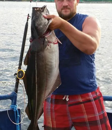 Kvernesfjorden * Steinsgrenda